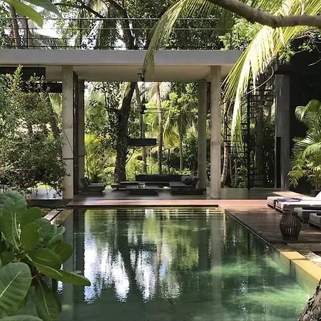 Kaju Green Eco Lodges-2