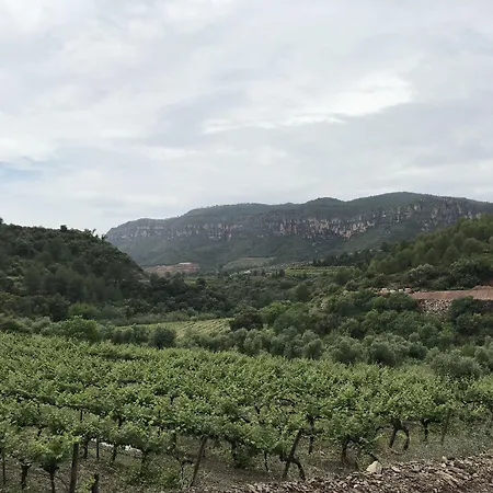 Terra Dominicata - Hotel & Winery - Adults Only-2