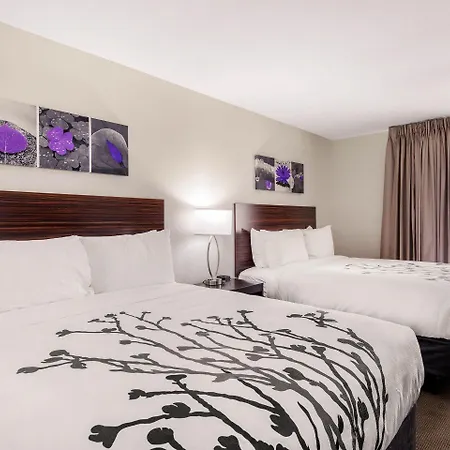 Sleep Inn & Suites South Jacksonville-2