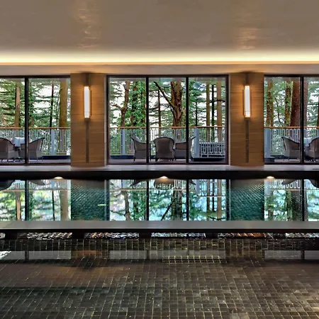 Hyatt Regency Dharamshala Resort-3