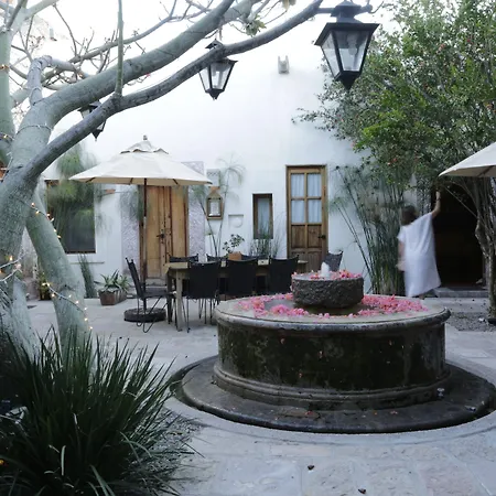 Orchid House San Miguel De Allende-2