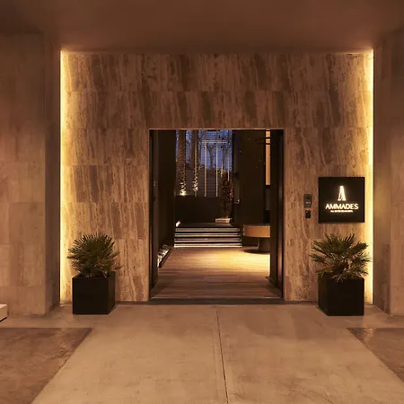 Ammades All Suites Beach Hotel & Spa - Adults Only-2
