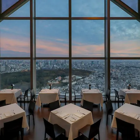 Park Hyatt Tokyo-3