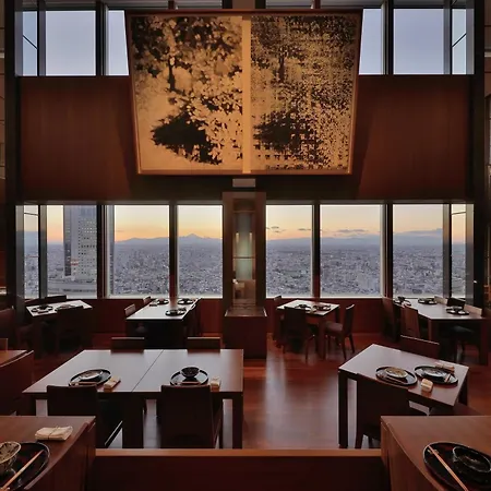 Park Hyatt Tokyo-2