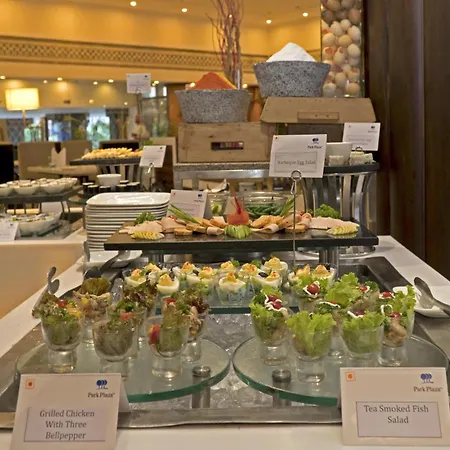 Park Plaza, Ludhiana-2