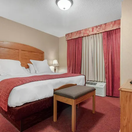 Norfolk Lodge & Suites, An Ascend Collection Hotel-3