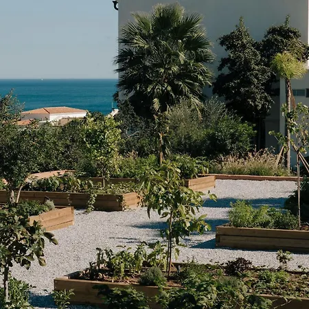 Oku Andalusia-2