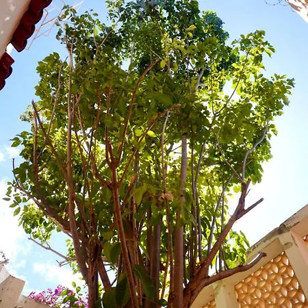 Casa Tavera- Adults Only-3