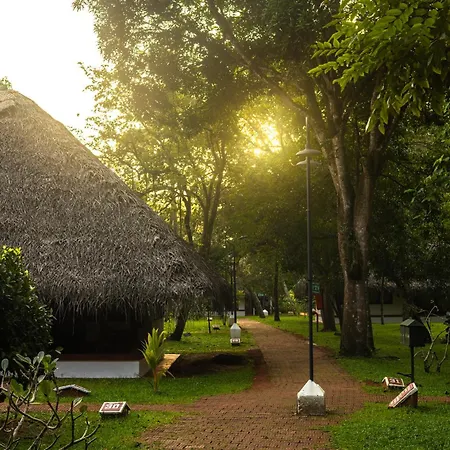 Marari Beach Resort Alleppey - A Cgh Earth Experience-2