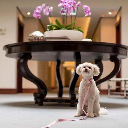 The Langham Sydney-2