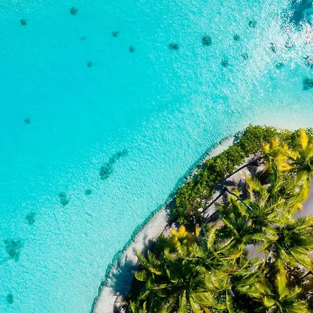 The St. Regis Bora Bora Resort-3