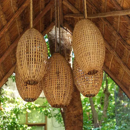 Terasu Riviera Maya Hotel & Spa Luxury Edition, En Xcaret-2