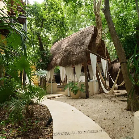 Terasu Riviera Maya Hotel&Spa, en Xcaret-2