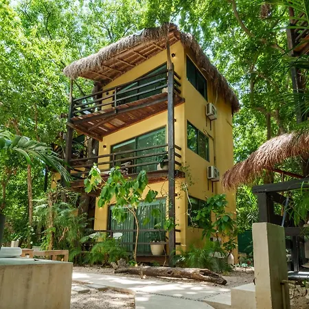 Terasu Riviera Maya Hotel&Spa, en Xcaret-3
