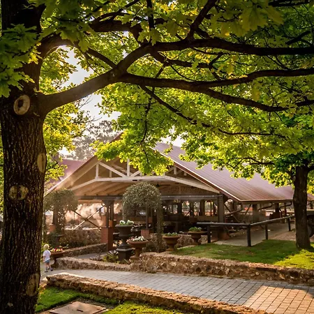 Irene Country Hotel-2