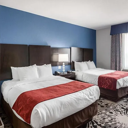 Comfort Suites Greenville-2