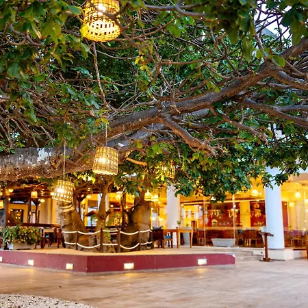 Essque Zalu Zanzibar-3
