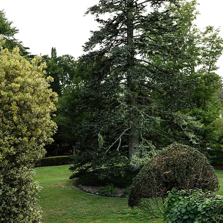 Comfort Resort Leura Gardens-3