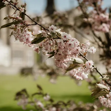 Matfen Hall Hotel And Golf - Spa Is Re-Opening In September2026-3