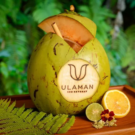 Ulaman Eco Luxury Resort-2