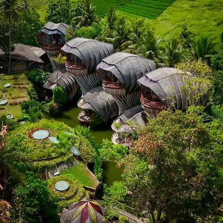 Ulaman Eco Luxury Resort-3