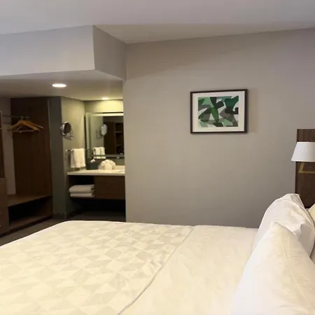 Holiday Inn & Suites Chihuahua Expo By Ihg-3