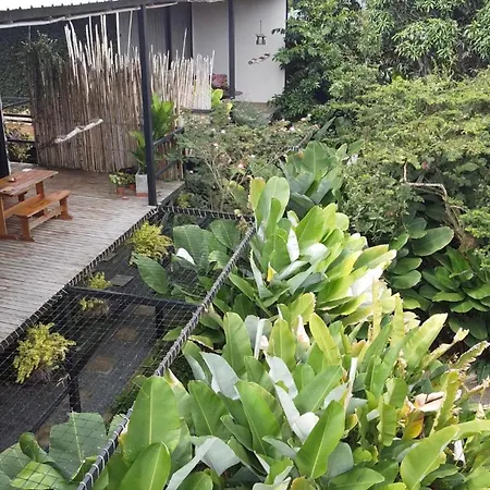 Natural Luxury Birding Lodge - Premium Birdwatching Near Cali-3