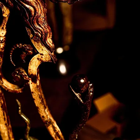 La Cour Des Consuls Hotel & Spa Toulouse - Mgallery Collection-2