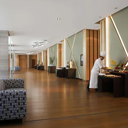 Pullman New Delhi Aerocity-3