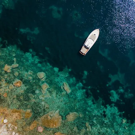 Il Pellicano-3