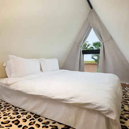 Domaine Villate Limoune-3