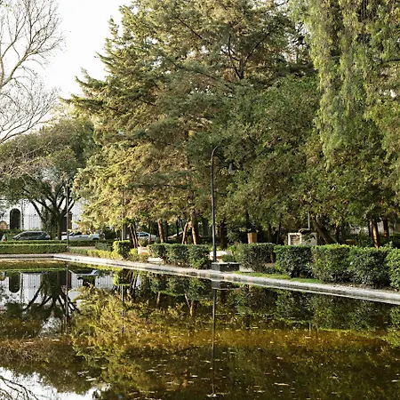Casa Polanco Hotel Boutique-3