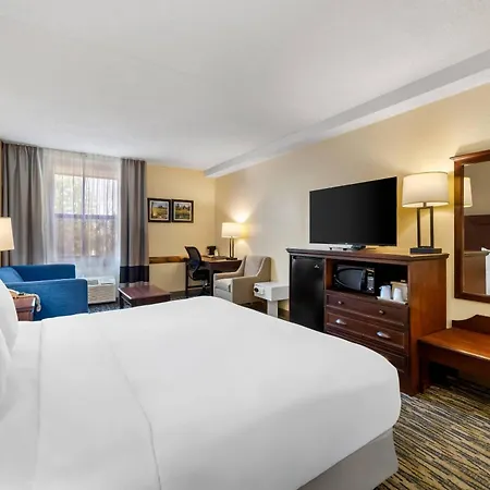 Comfort Inn & Suites Branson Meadows-3