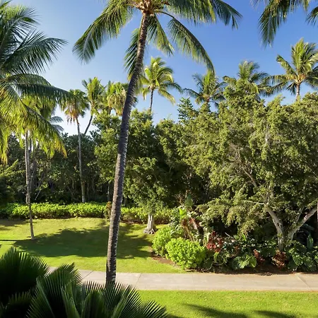 Fairmont Orchid-3