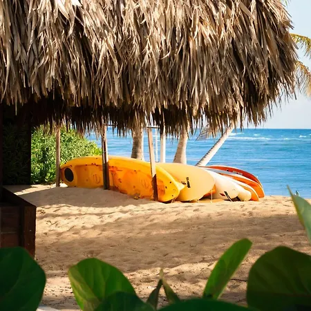 Wyndham Alltra Punta Cana All Inclusive Resort-3