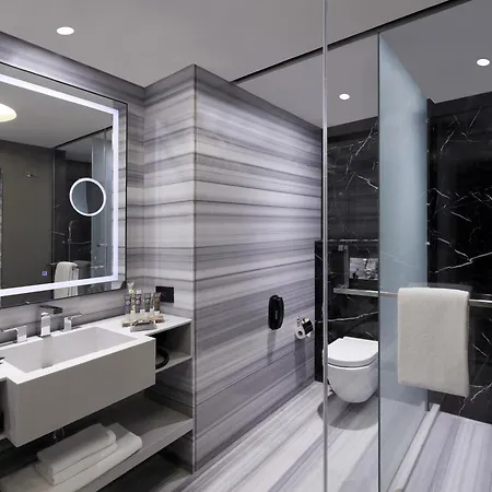 Novotel Chennai Chamiers Road-2