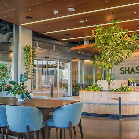 Shashi Hotel Mountain View Palo Alto-2