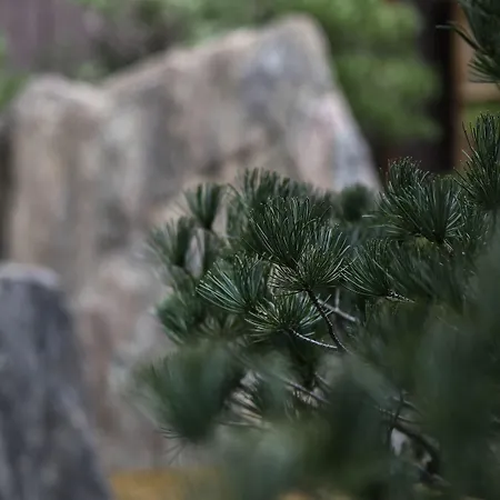 The Hiramatsu Kyoto-2