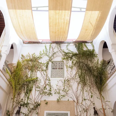 Riad Dar Al Assad-3