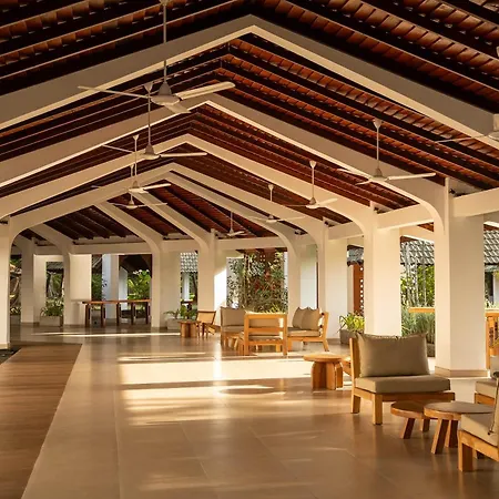 The Palms-3