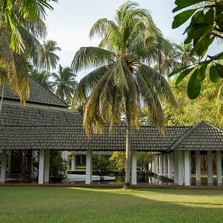 The Palms-2