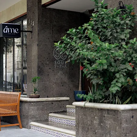 Soul Beach Boutique Hotel & Spa (Adults Only)-2
