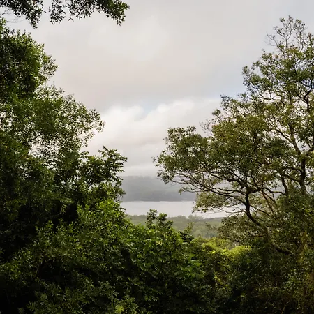 Montville Misty View Cottages-2