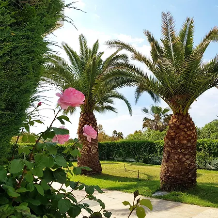 Alexandros Palace-2