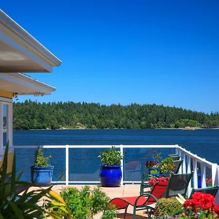 Birds Of A Feather Victoria Oceanfront Studio Suites-2