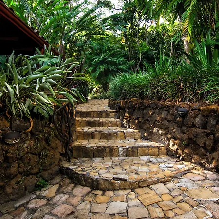Finca Rosa Blanca Coffee Farm And Inn-2