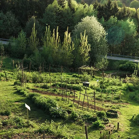 Falkensteiner Balance Resort Stegersbach L Adults Only-2