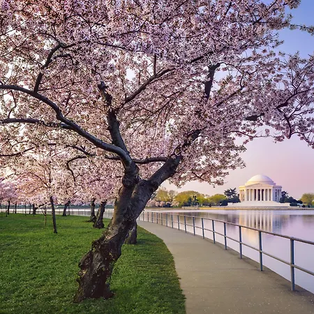 Kimpton Hotel Monaco Washington Dc By Ihg-3