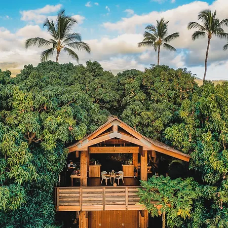 Hotel Wailea Maui (Adults Only)-2