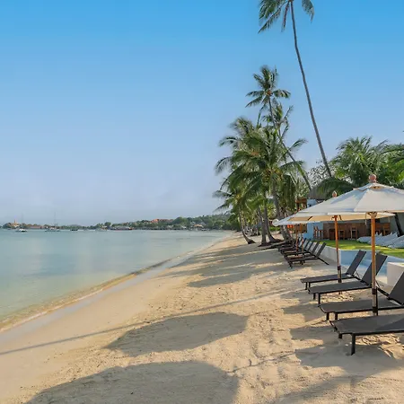 The Culture Samui-3